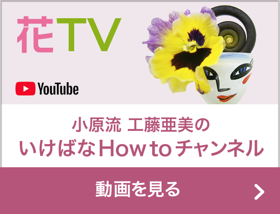 YouTube 花TV 小原流工藤亜美のいけばなHOW TOチャンネル